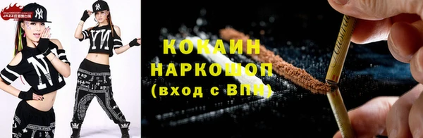 прущие грибы Нефтекумск