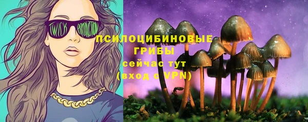 прущие грибы Нефтекумск