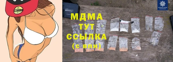 прущие грибы Нефтекумск