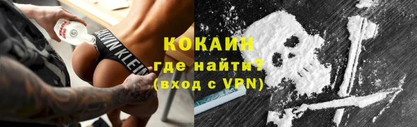 прущие грибы Нефтекумск