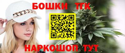 индика Заволжье