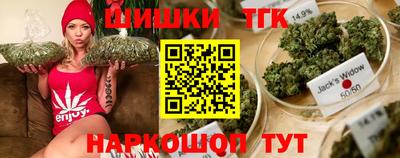 индика Заволжье