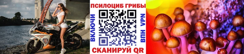 Псилоцибиновые грибы ЛСД где купить наркотик Ярцево