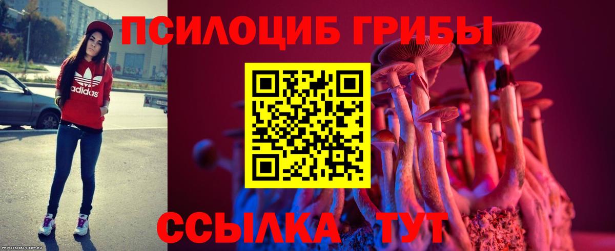 Псилоцибиновые грибы Psilocybine cubensis Ярцево